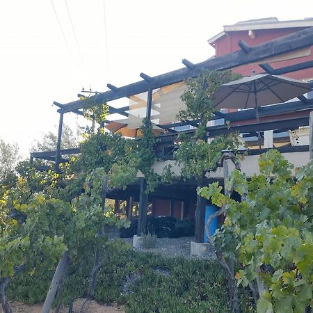 Rancho Los Amigos Cabin Lodge Ensenada Exterior photo